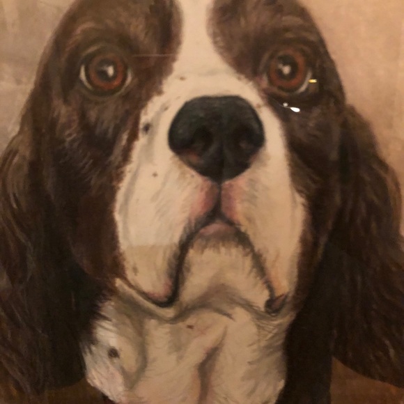 Meet your Posher, Jean - Picture 1 of 1